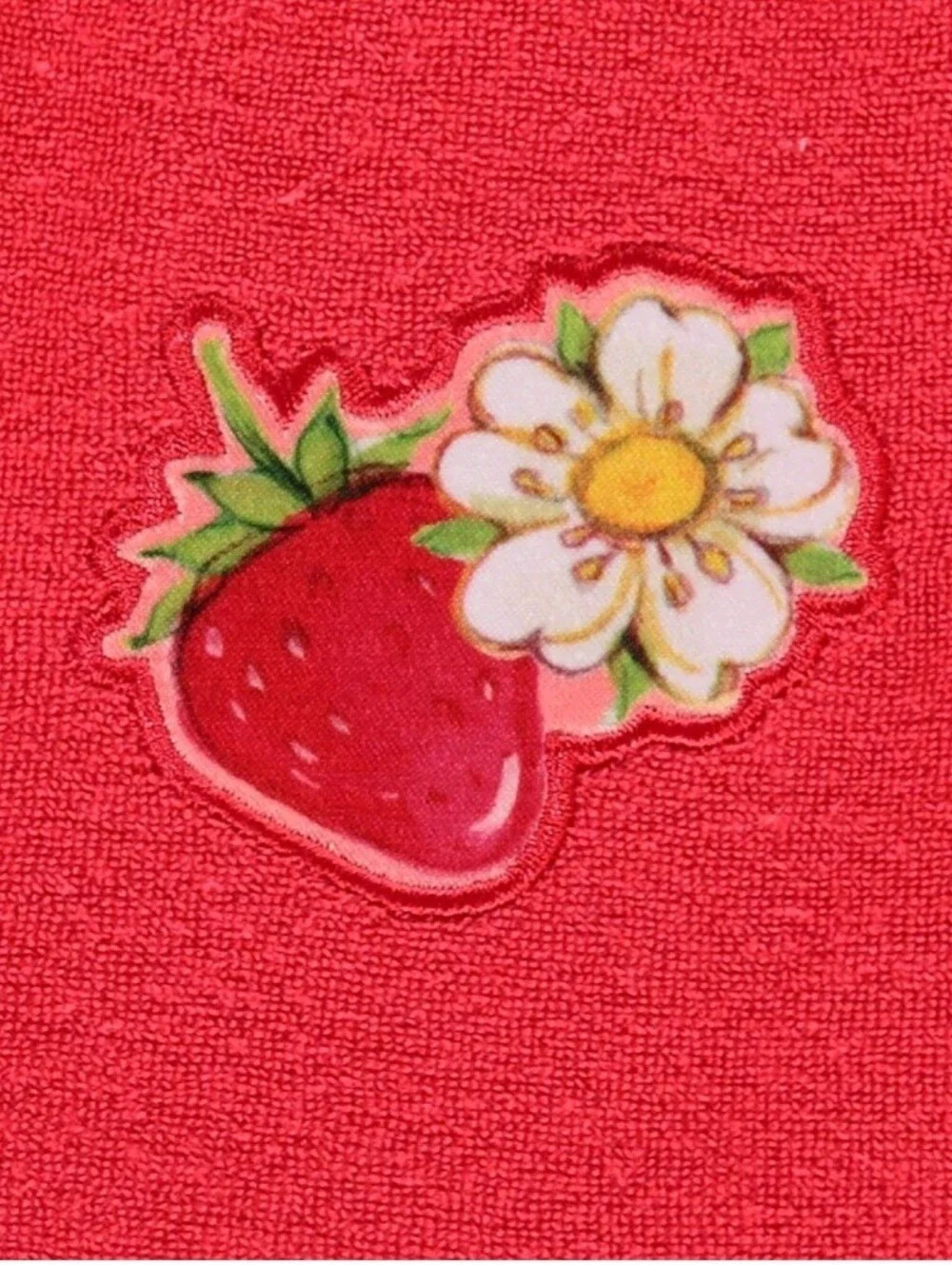 Dreamwave Toddler 2T or 3T Strawberry Shortcake 2 Piece Swimsuit Cover Up NWT